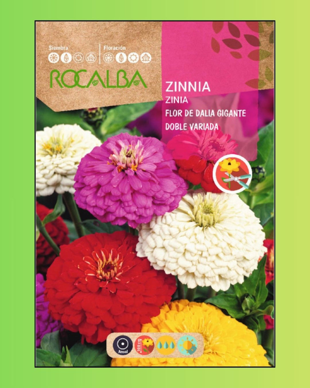 Semillas de 'Zinnia Gigante Doble' Rocalba