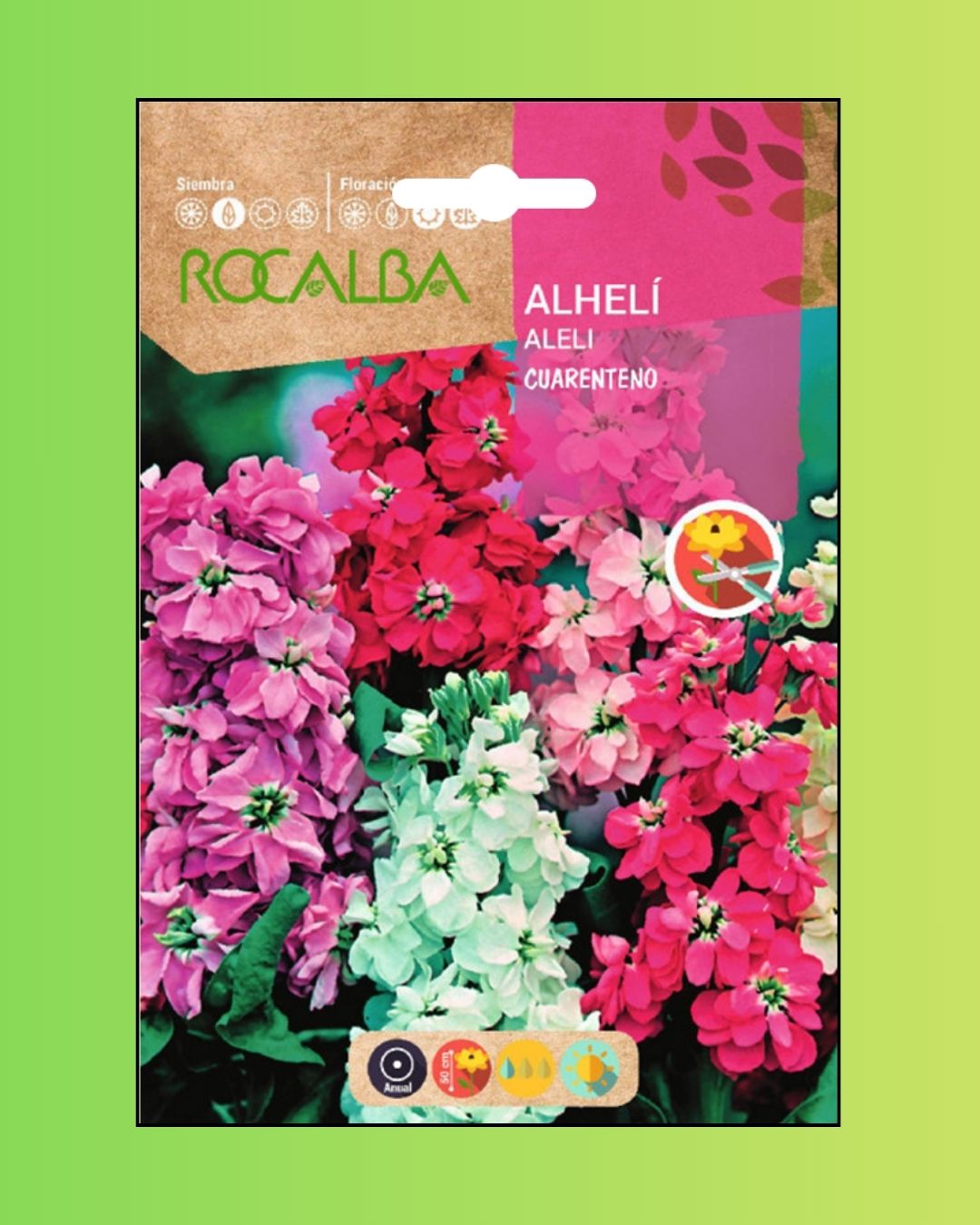 Semillas de Alhelí 'Cuarenteno' Rocalba