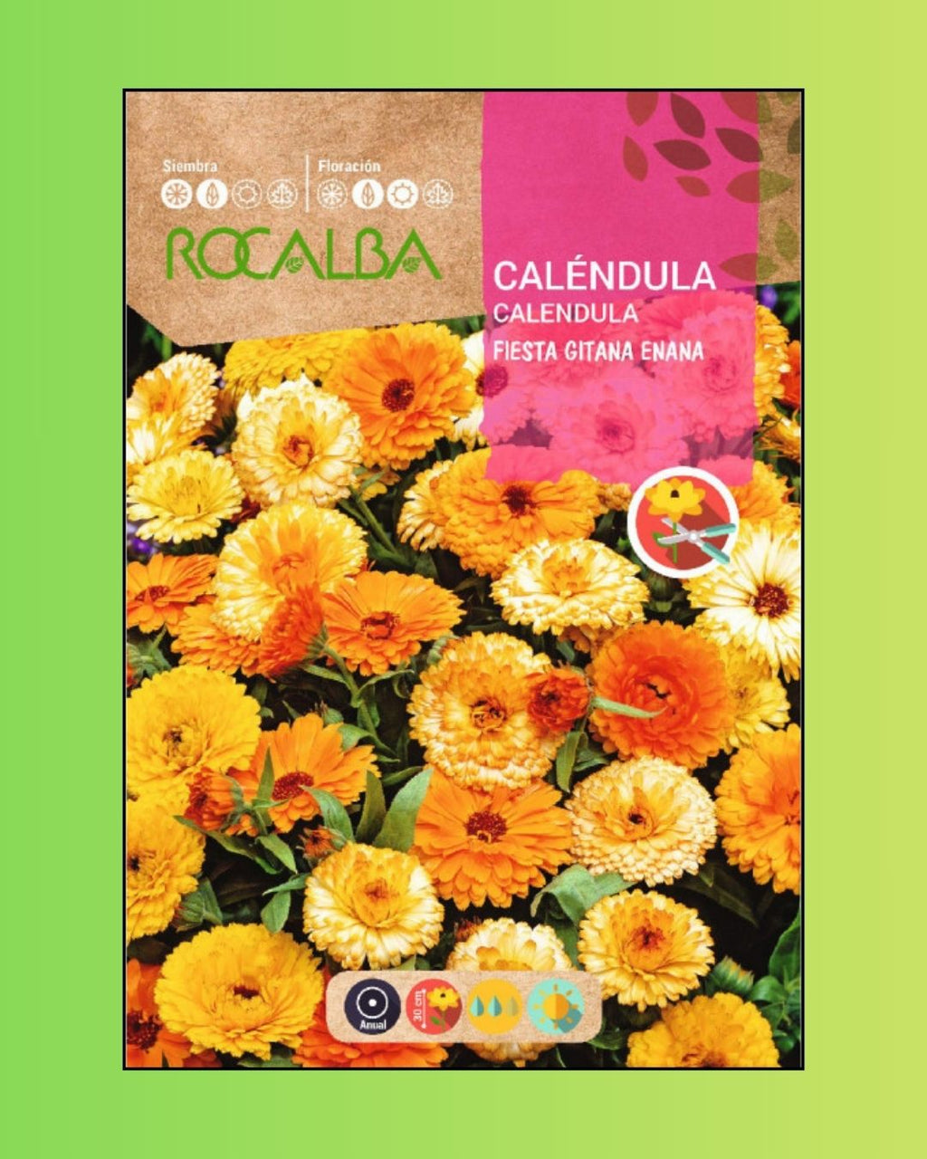 Semillas de Caléndula 'Fiesta Gitana' Rocalba