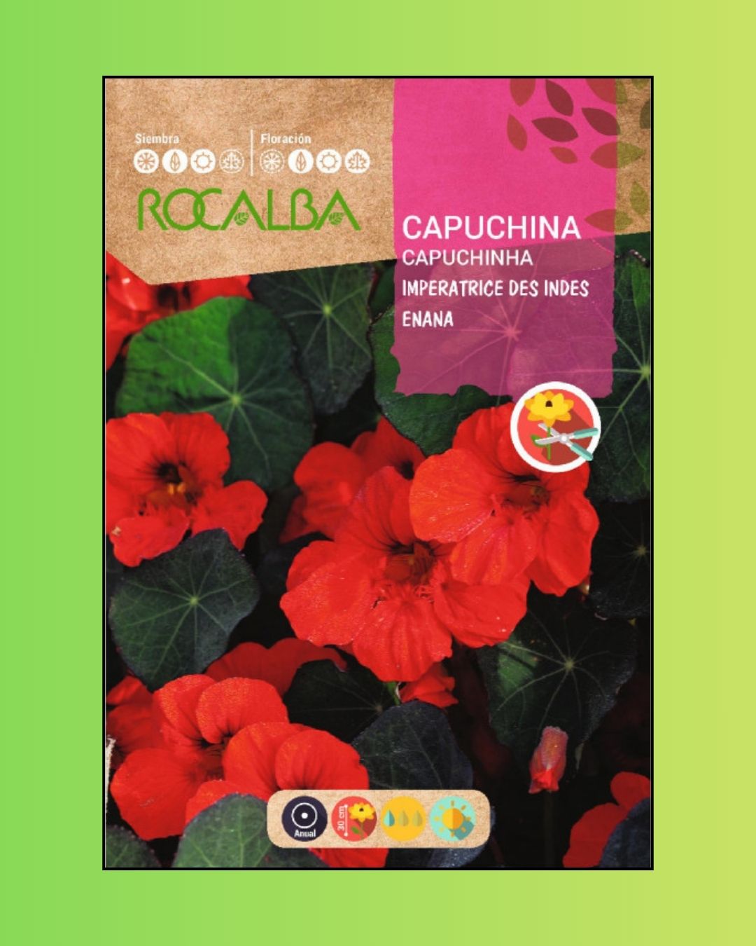 Semillas de Capuchina 'Emperatriz' Rocalba