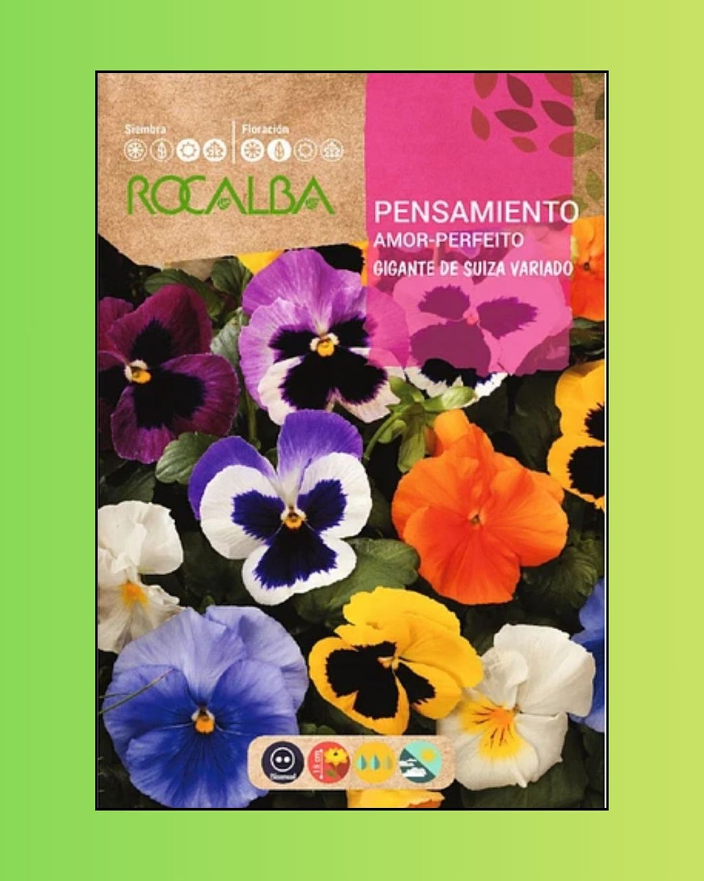 Semillas de Pensamiento 'Gigante Suizo' Rocalba