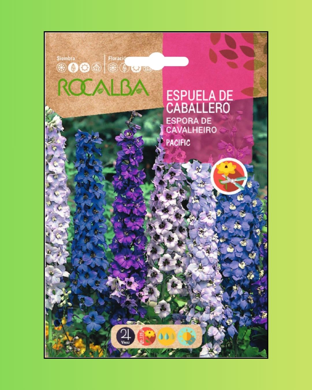 Semillas de Delphinium 'Pacific' (Espuela de Caballero o Pajarito) Rocalba