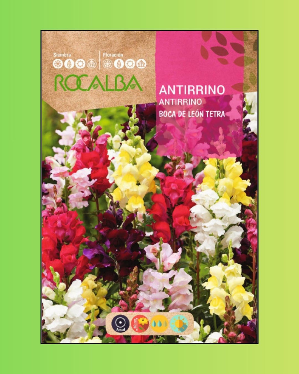 Semillas de Antirrhinum 'Boca de León Tetra' (Perritos Altos) Rocalba