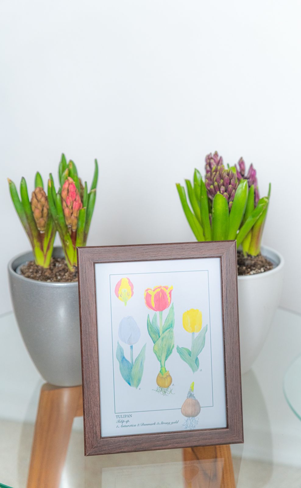 Tarjeta Ilustrada Regalo