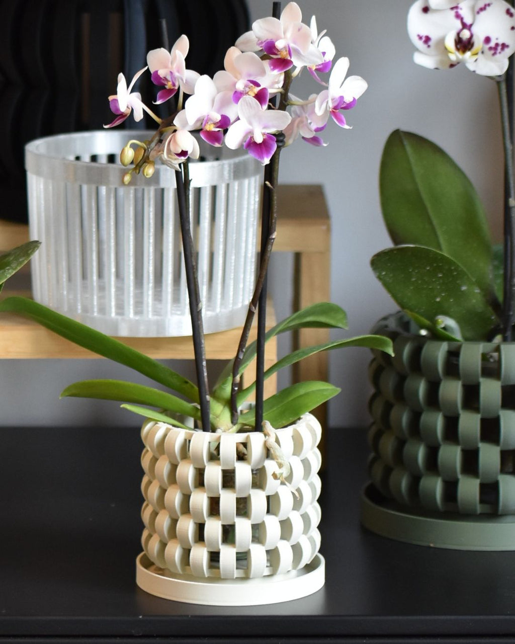 Maceta Orquídea 3D "Sinol"
