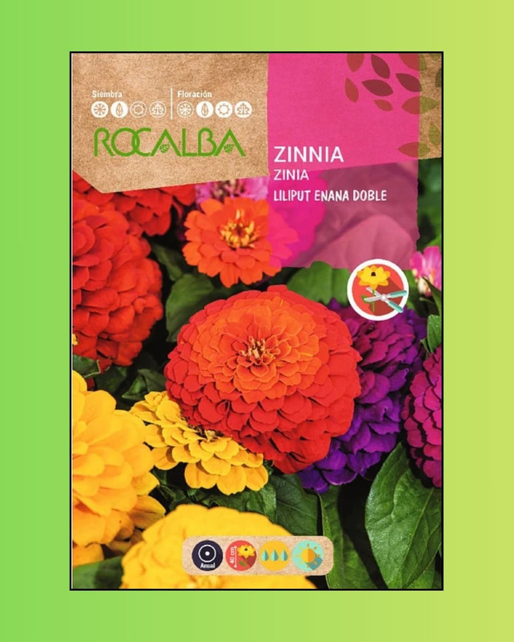 Semillas de Zinnia 'Liliput Doble' Rocalba