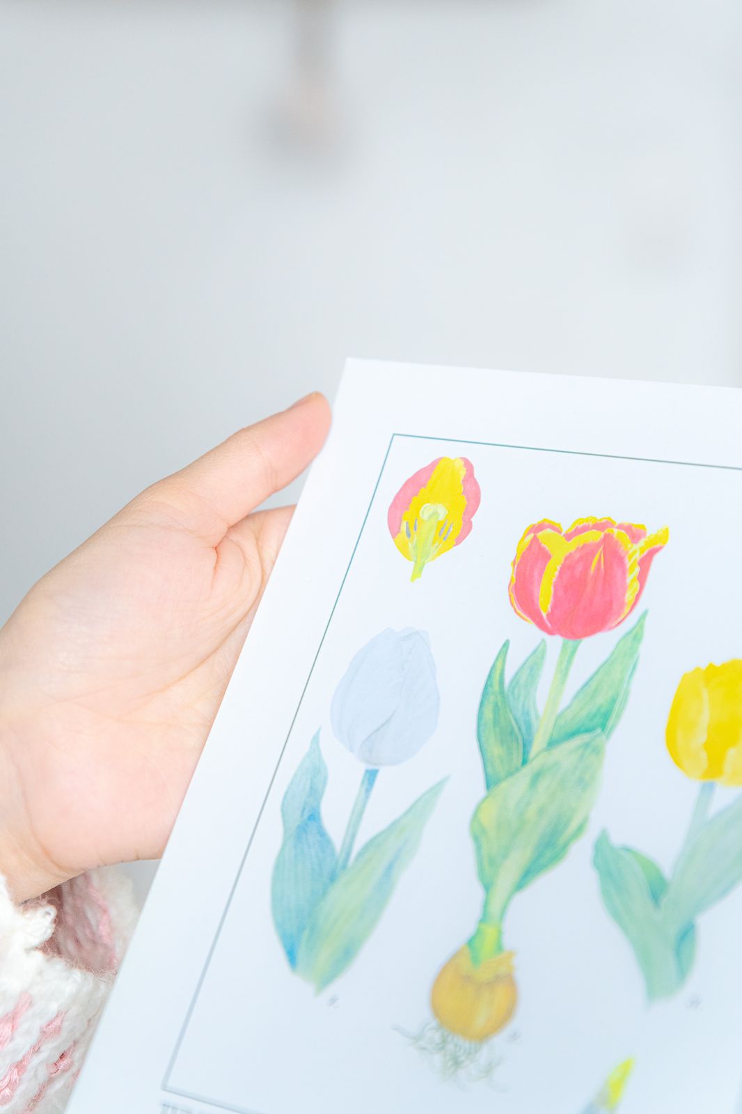 Tarjeta Ilustrada Regalo