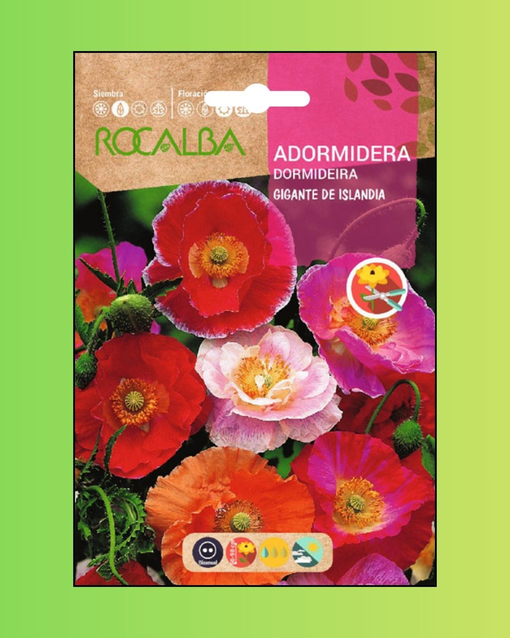 Semillas de Amapola 'Adormidera Gigante de Islandia' Rocalba