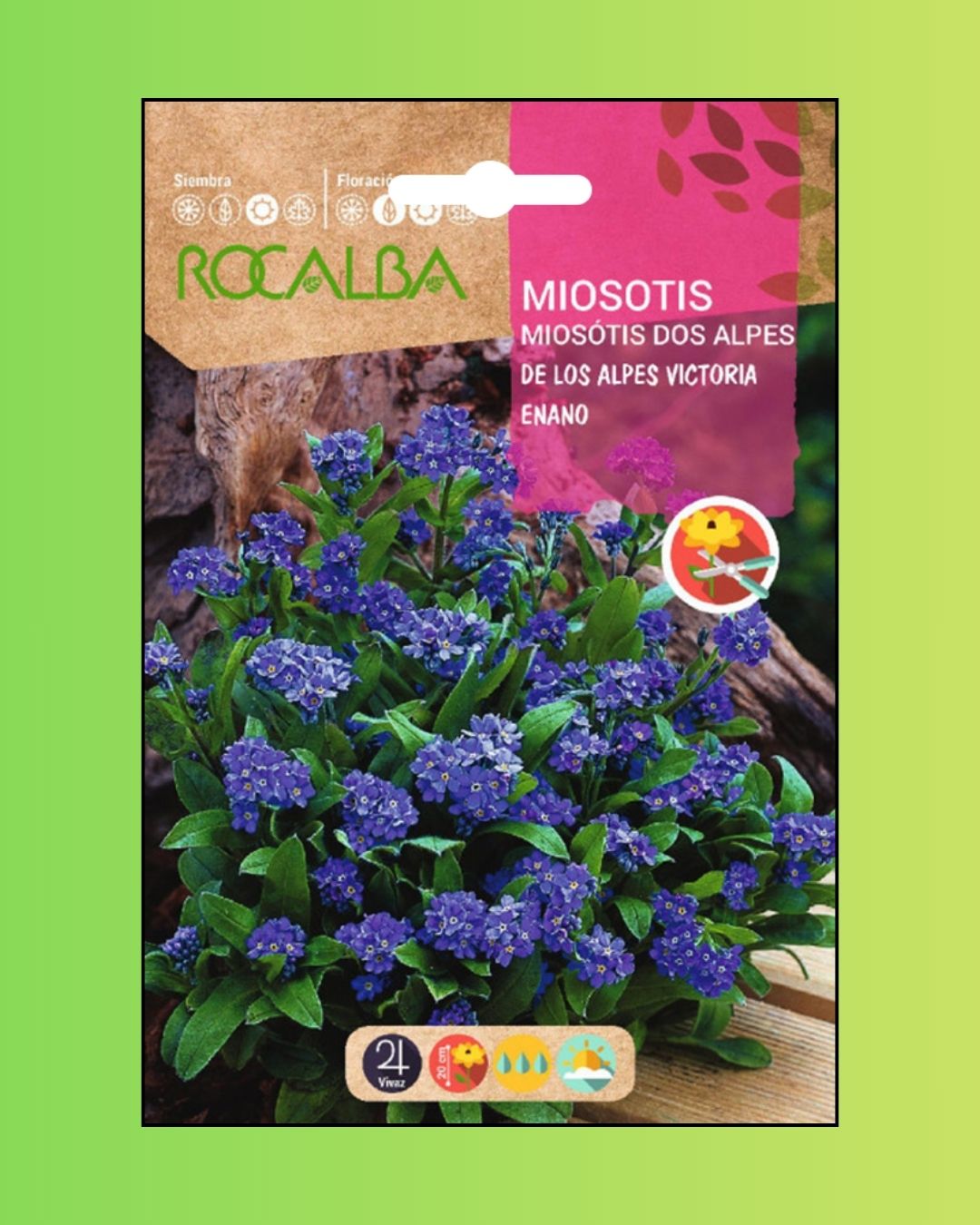 Semillas de Myosotis 'No me olvides' Rocalba
