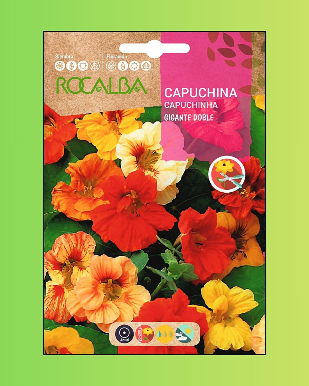 Semillas de Capuchina 'Doble' (Espuela de Galán) Rocalba