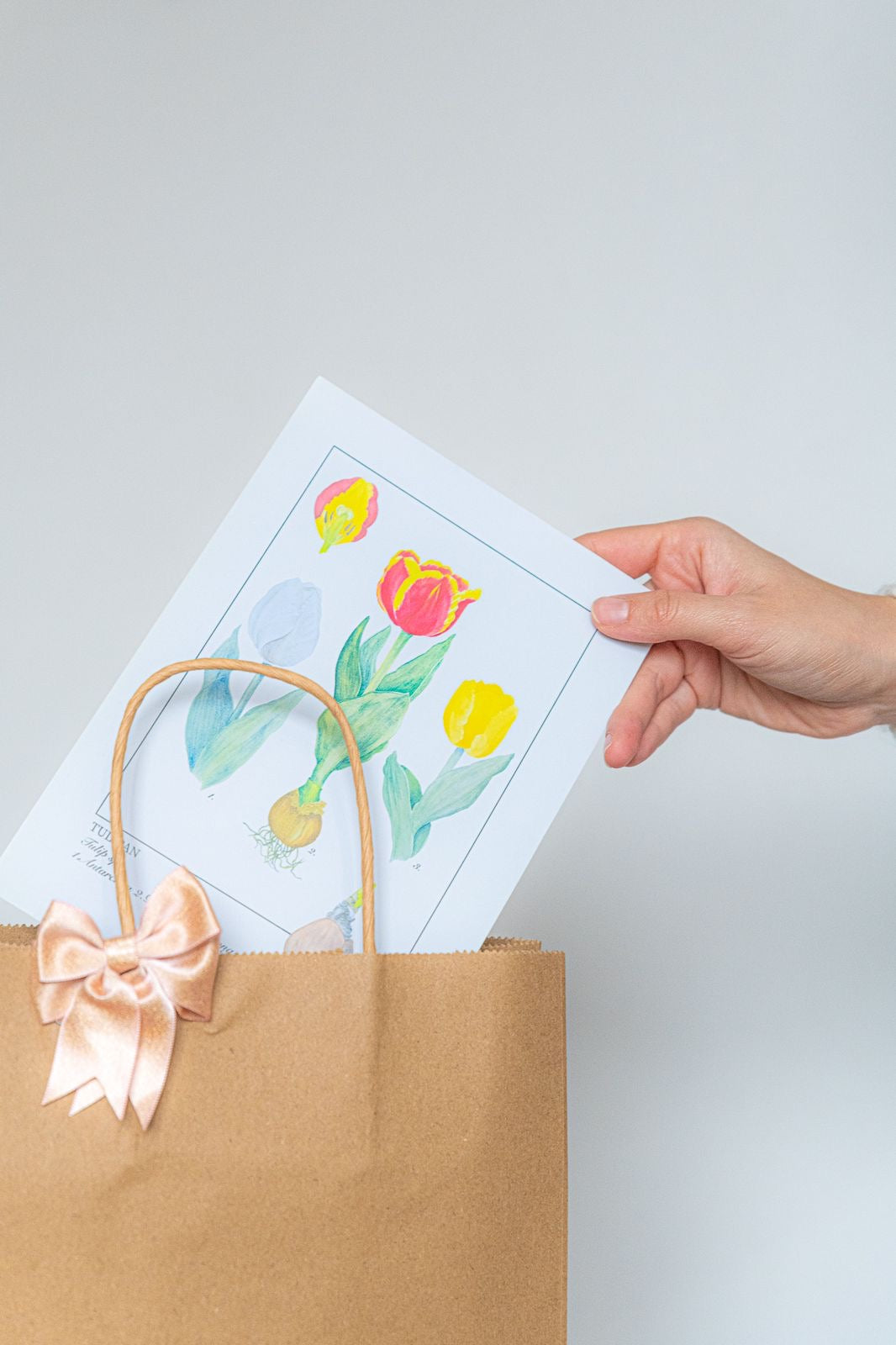 Tarjeta Ilustrada Regalo