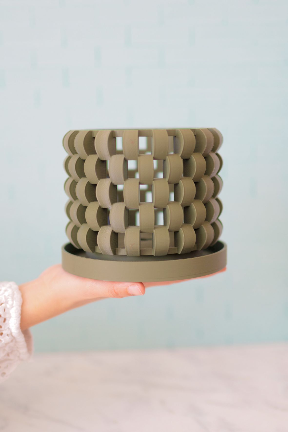 PACK Trasplante Orquídea Premium