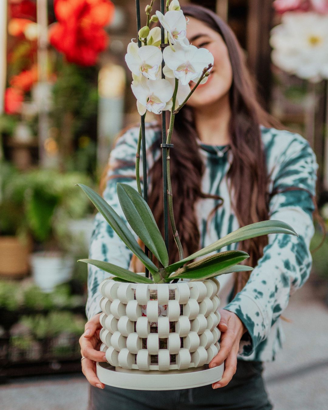 Maceta Orquídea 3D "Sinol"