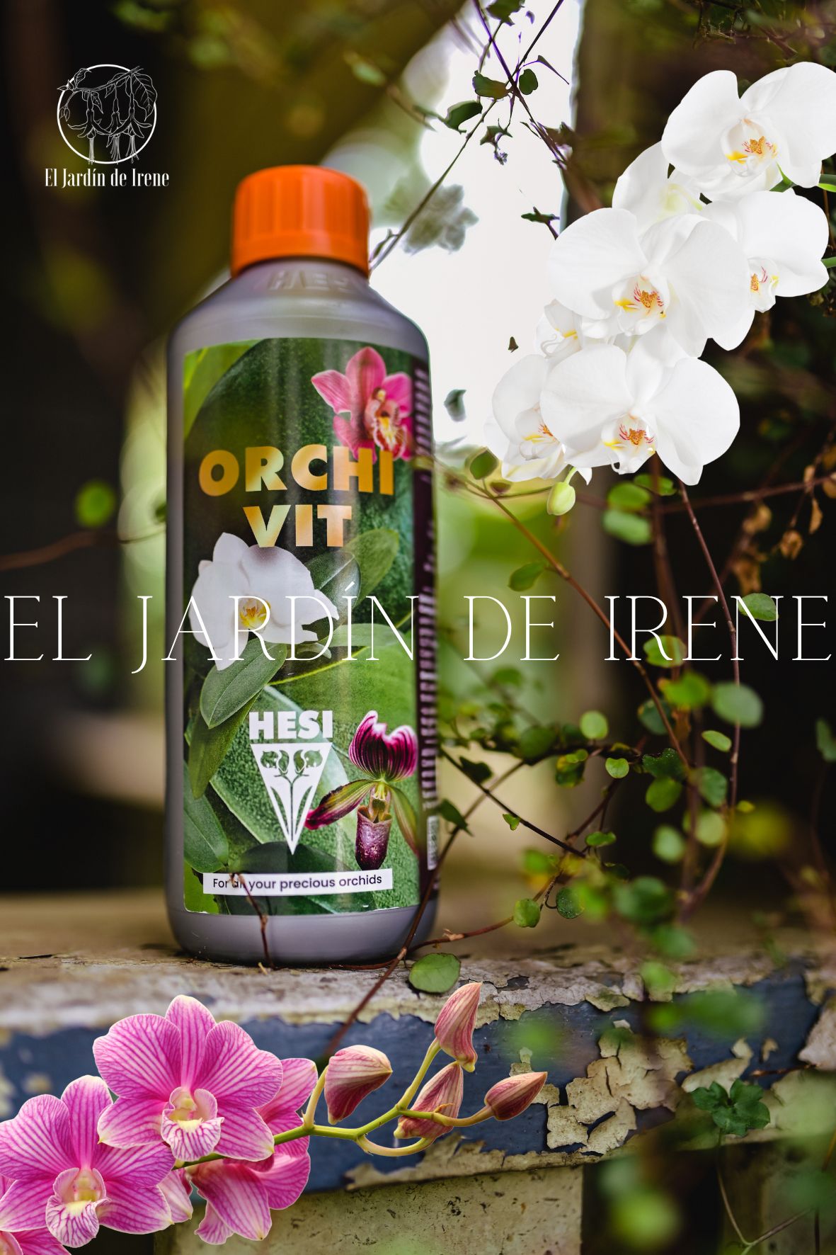 PACK Trasplante Orquídea Premium