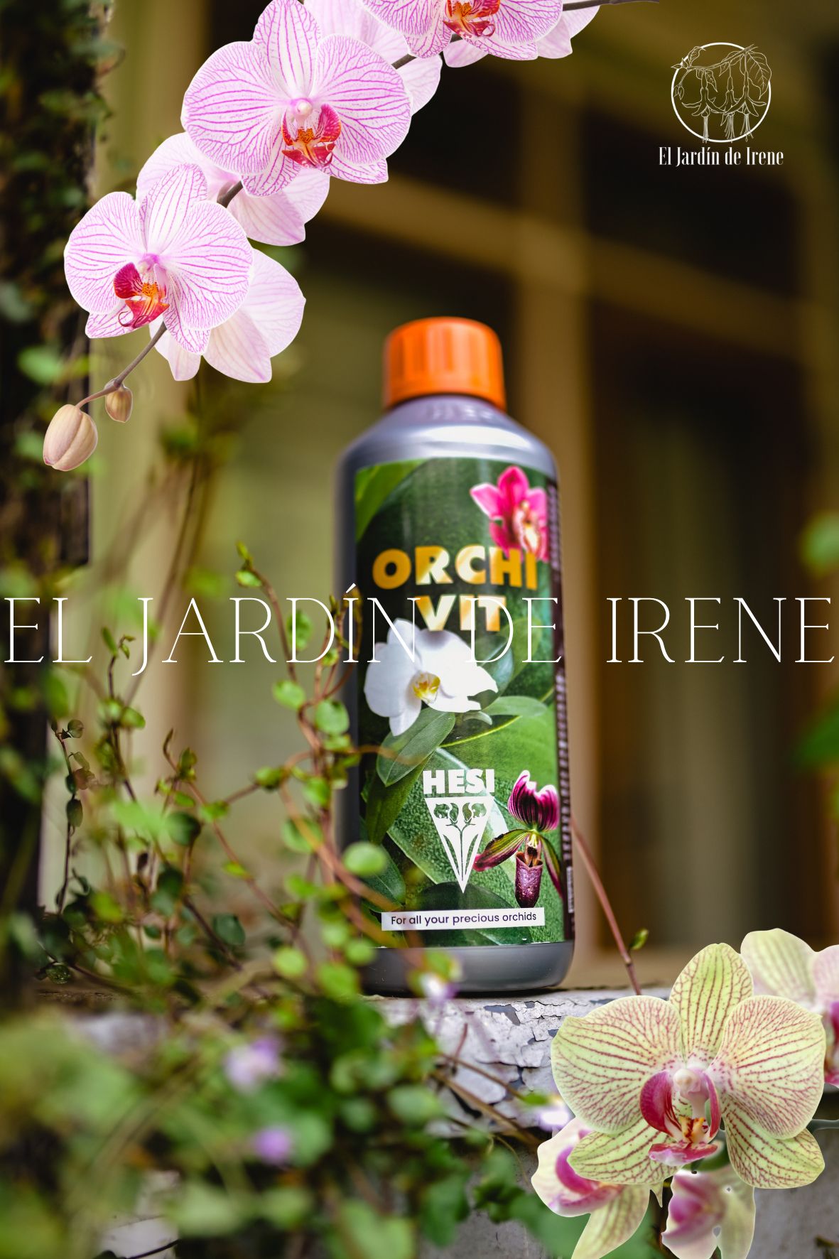 Fertilizante Orquídea HESI