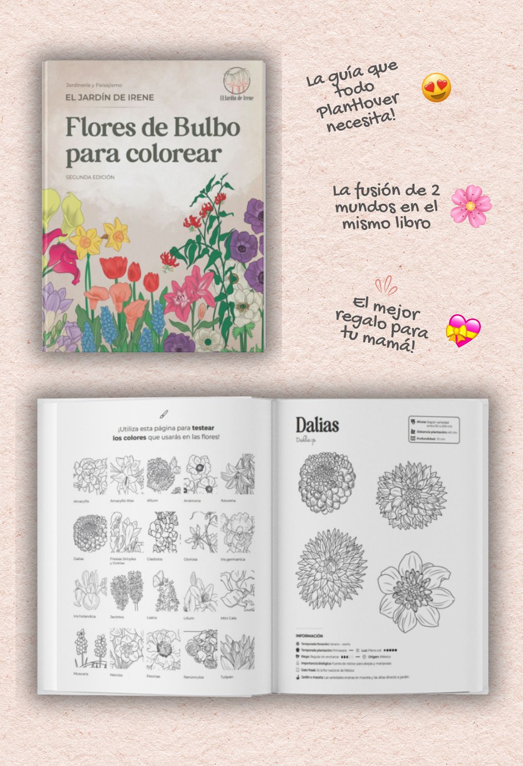 Libro "FLORES DE BULBO" + Bulbos de regalo