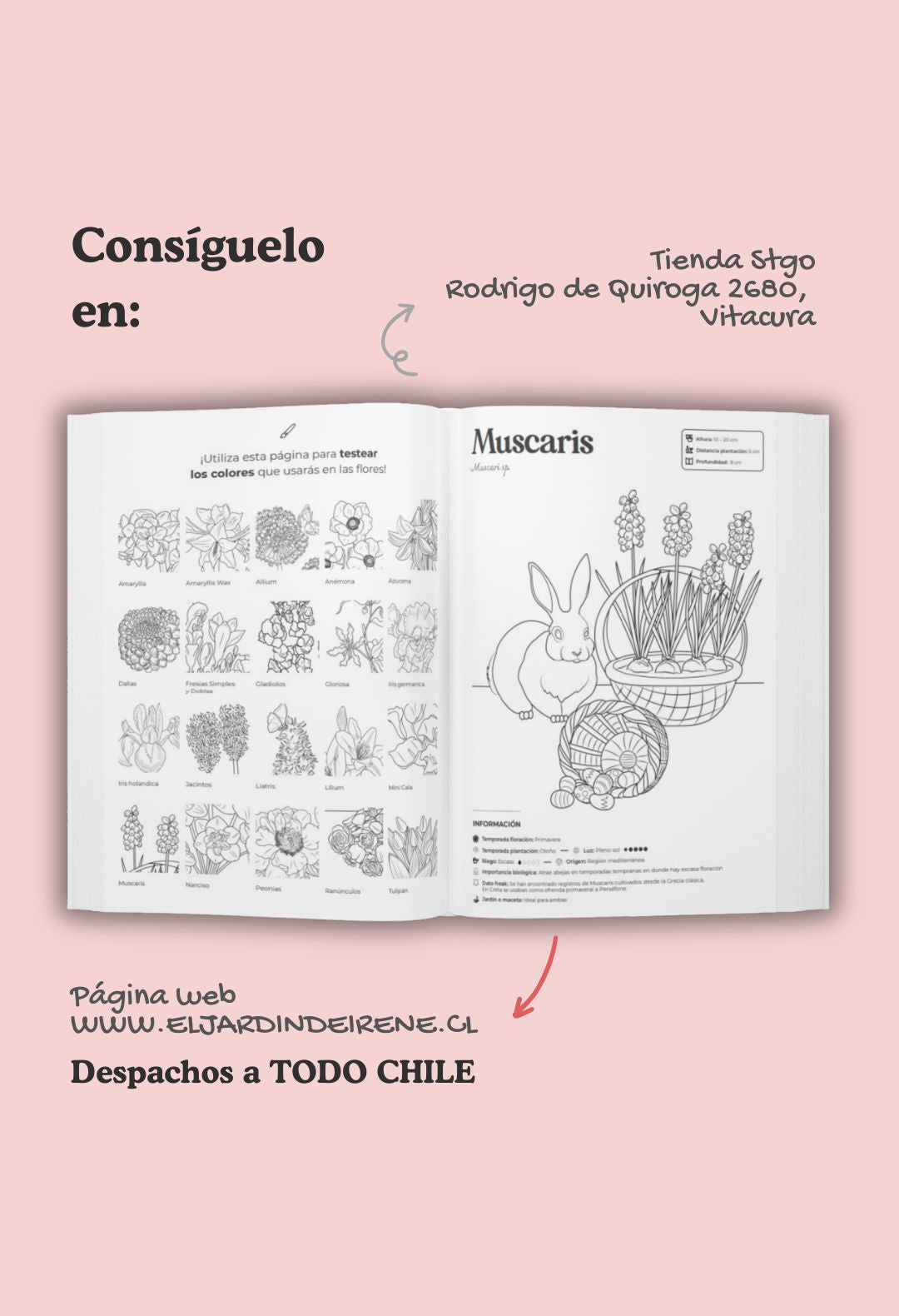 Libro "FLORES DE BULBO" + Bulbos de regalo