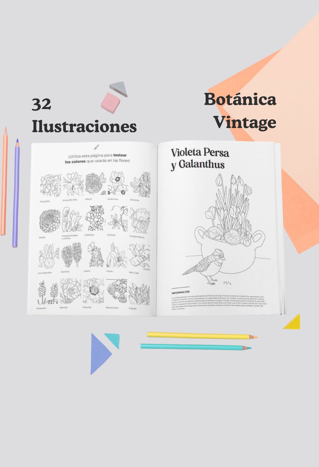 Libro "FLORES DE BULBO" + Bulbos de regalo
