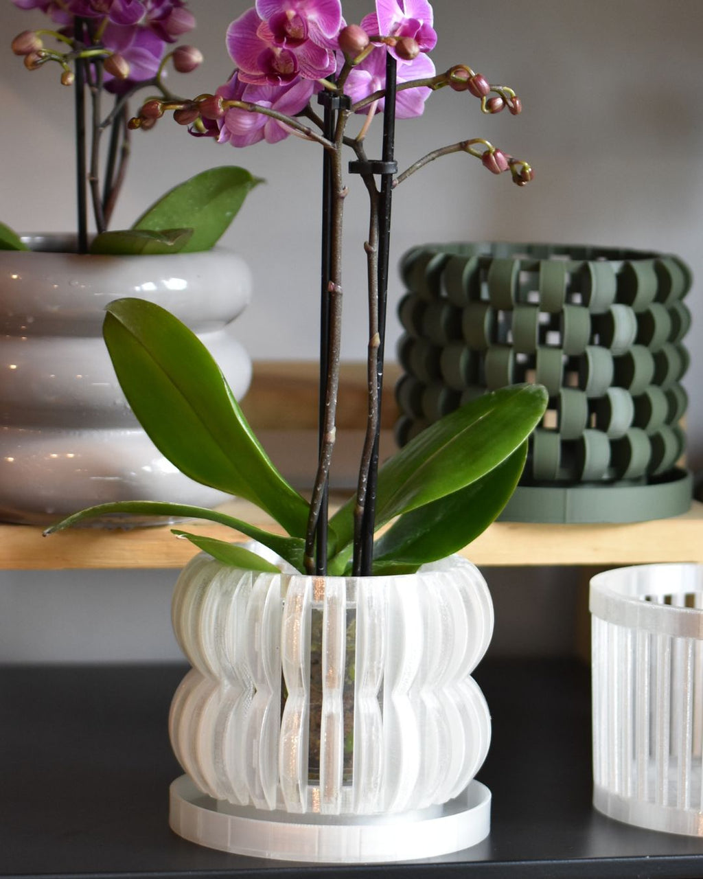 Maceta Orquídea 3D "Oli"