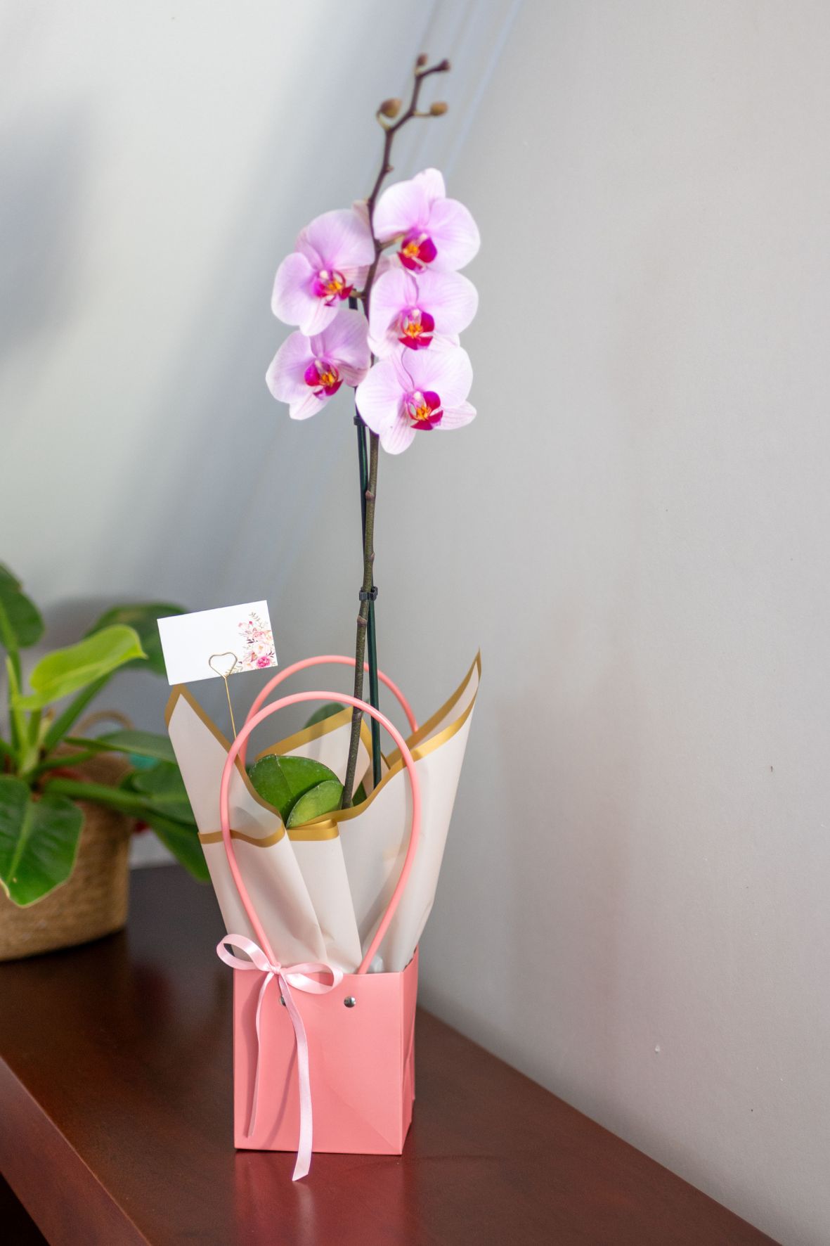 Arreglo Orquídea "Dolce Fiori"