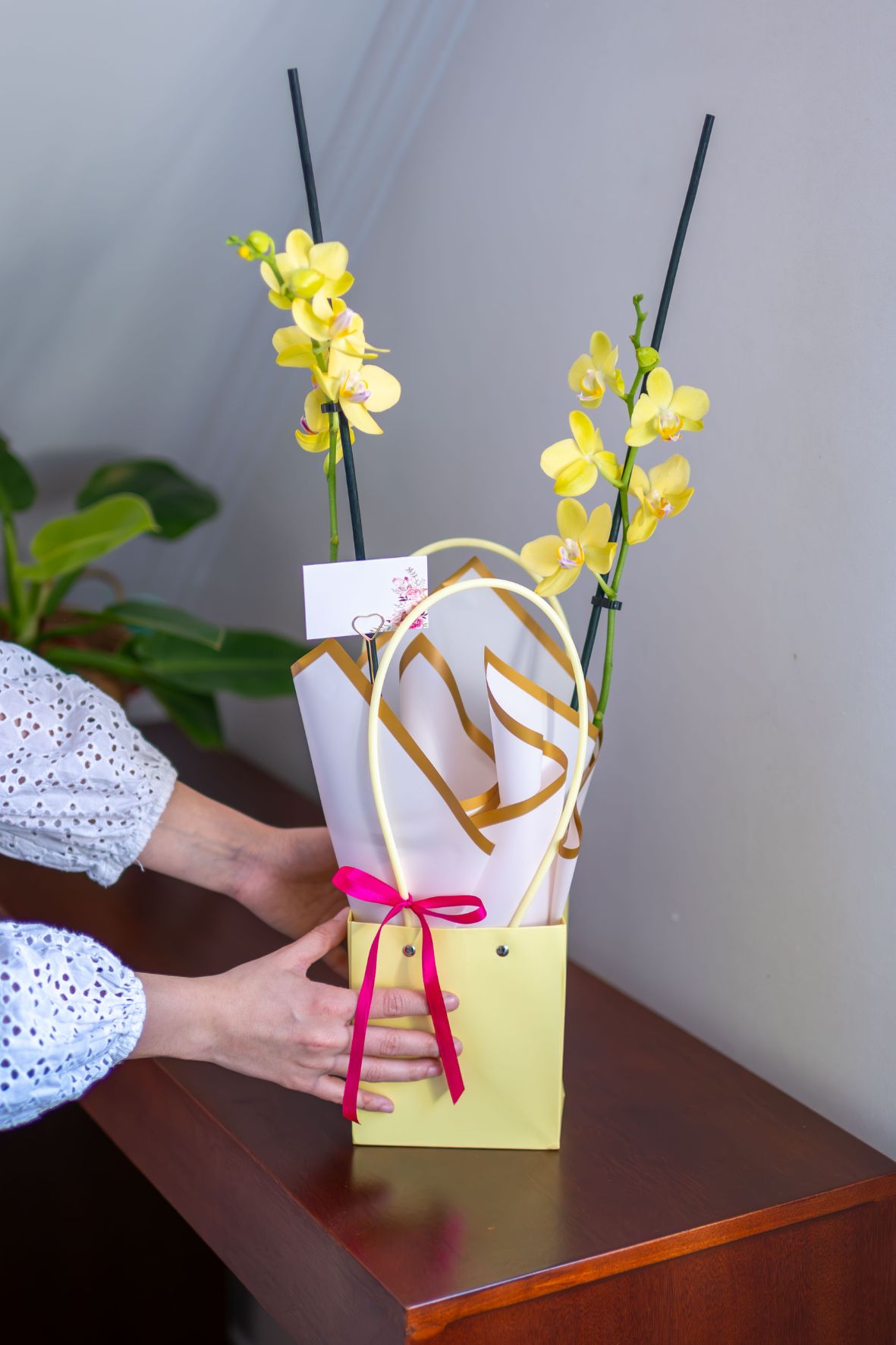 Arreglo Orquídeas "Raggio di Sole"