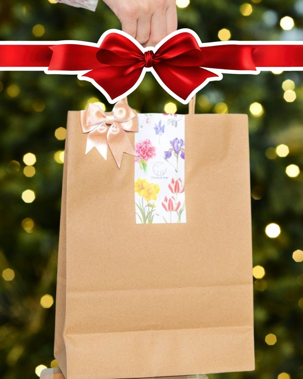 Empaque De Regalo