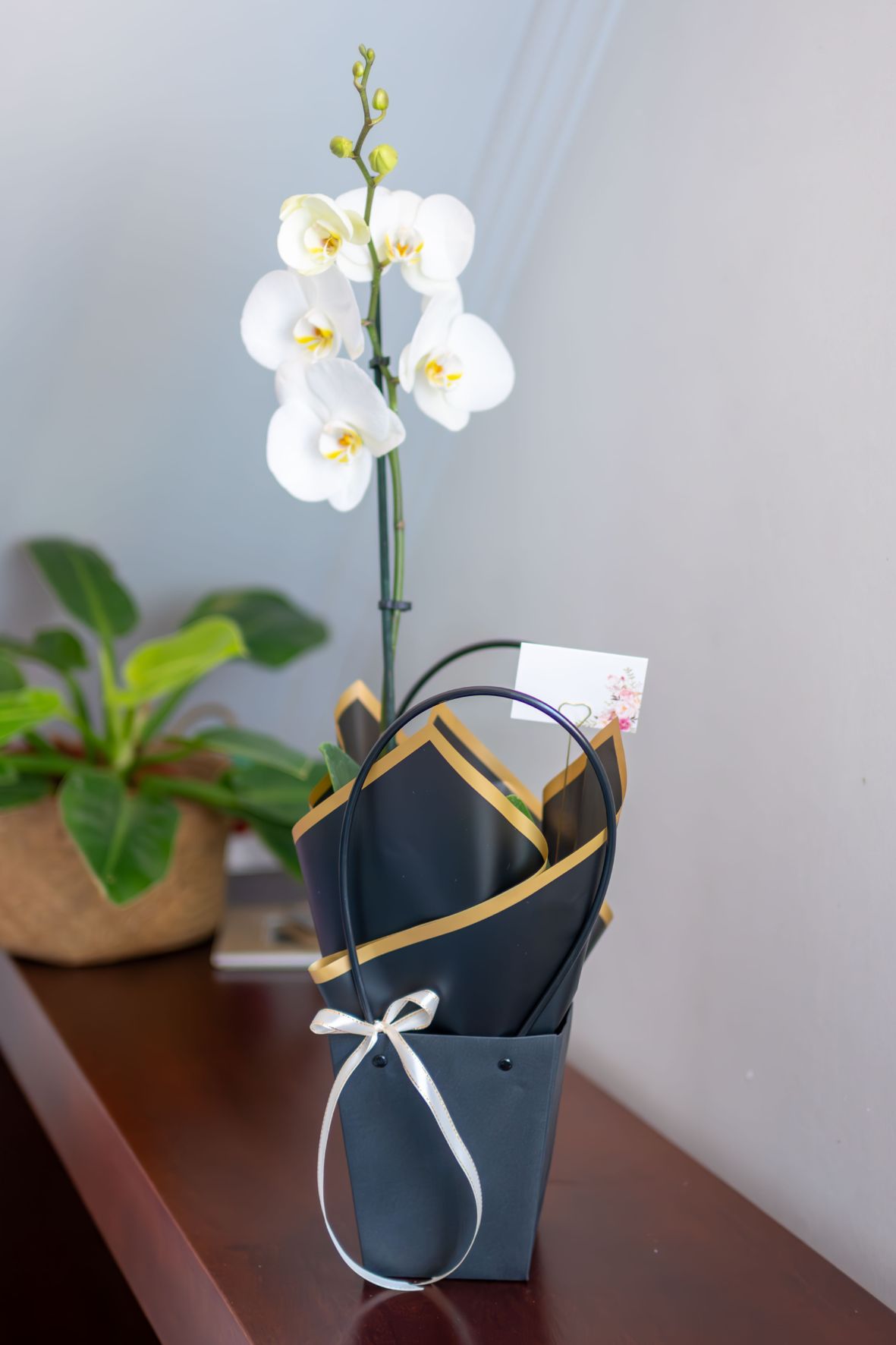 Arreglo Orquídea "Eleganza" - Condolencias