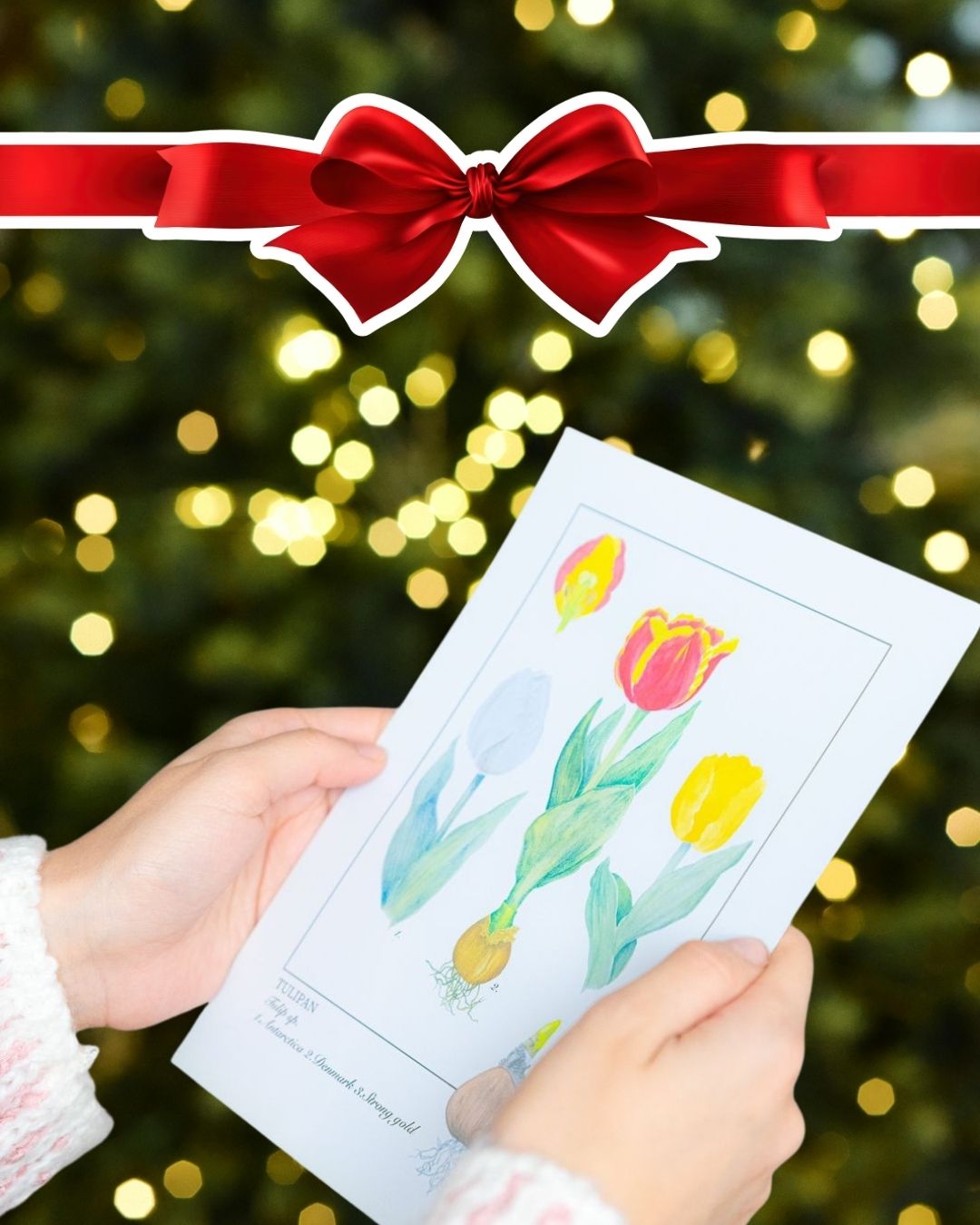 Tarjeta Ilustrada Regalo