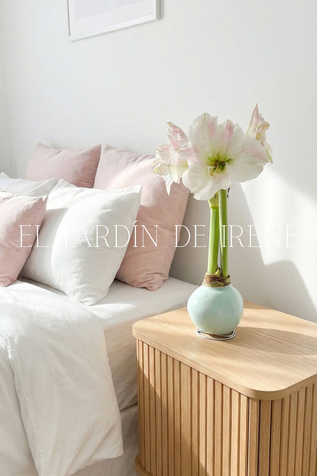 Amaryllis Wax