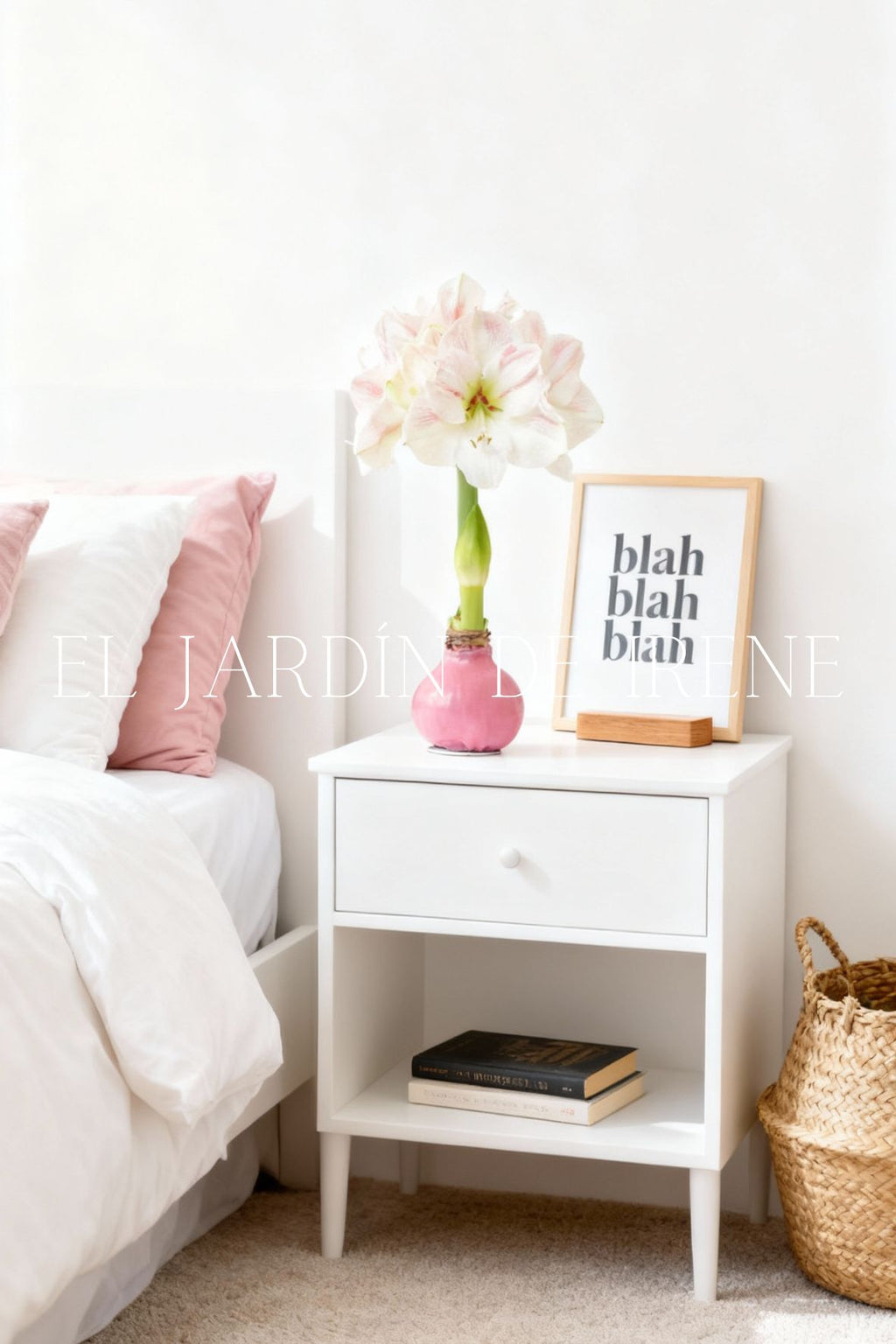 Amaryllis Wax