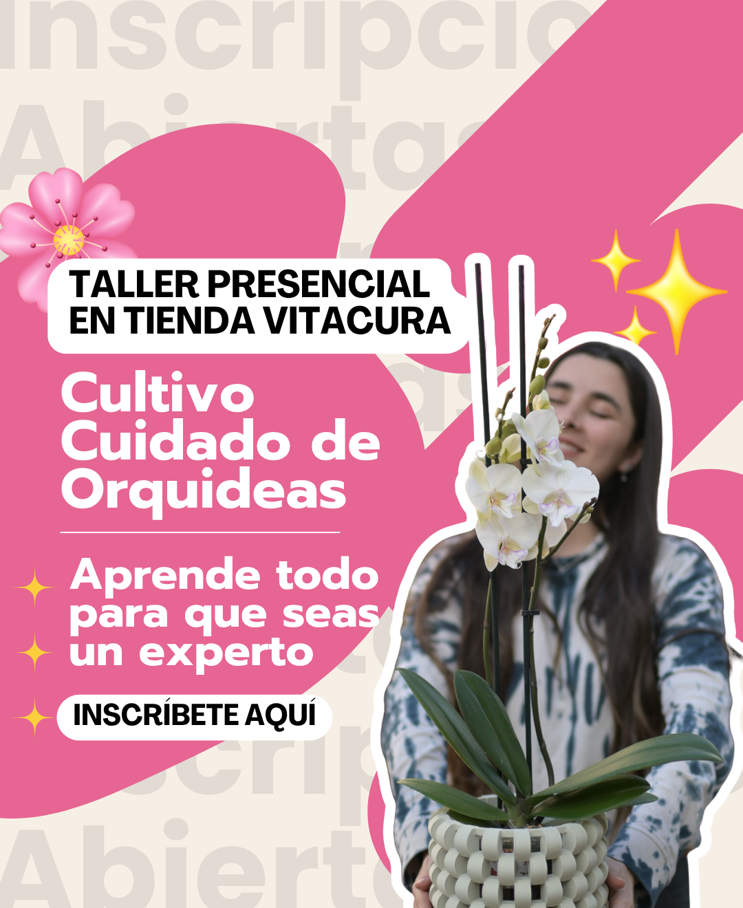 Taller PRESENCIAL "Orquídeas"