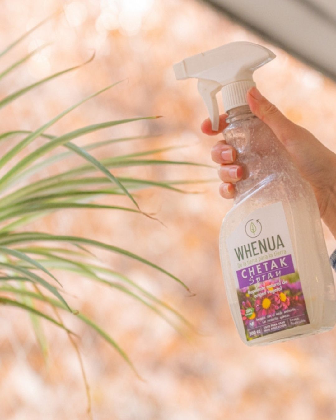 PACK Trasplante Orquídea Premium