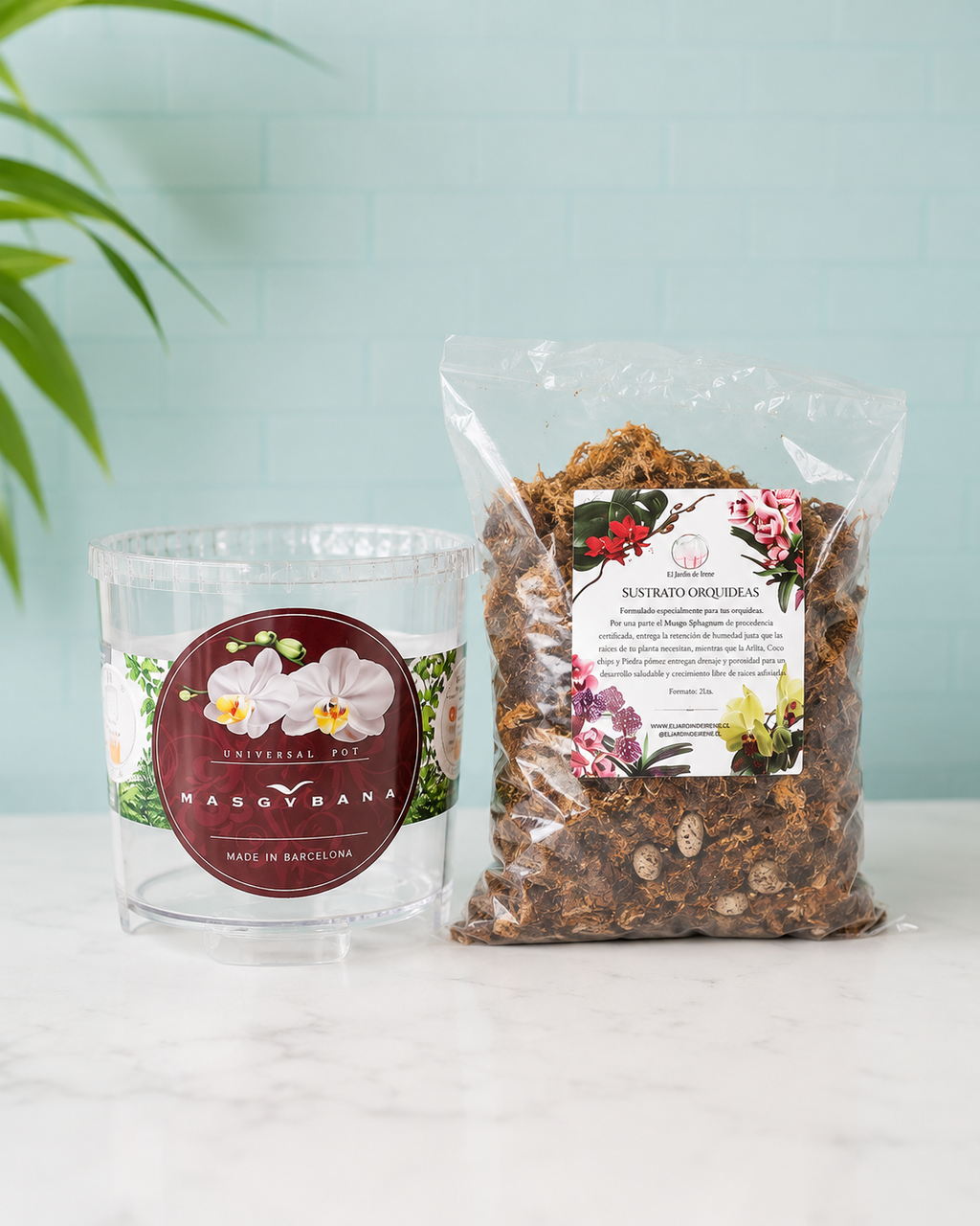 PROMO Maceta Masgabana Tapón + Sustrato Orquídea