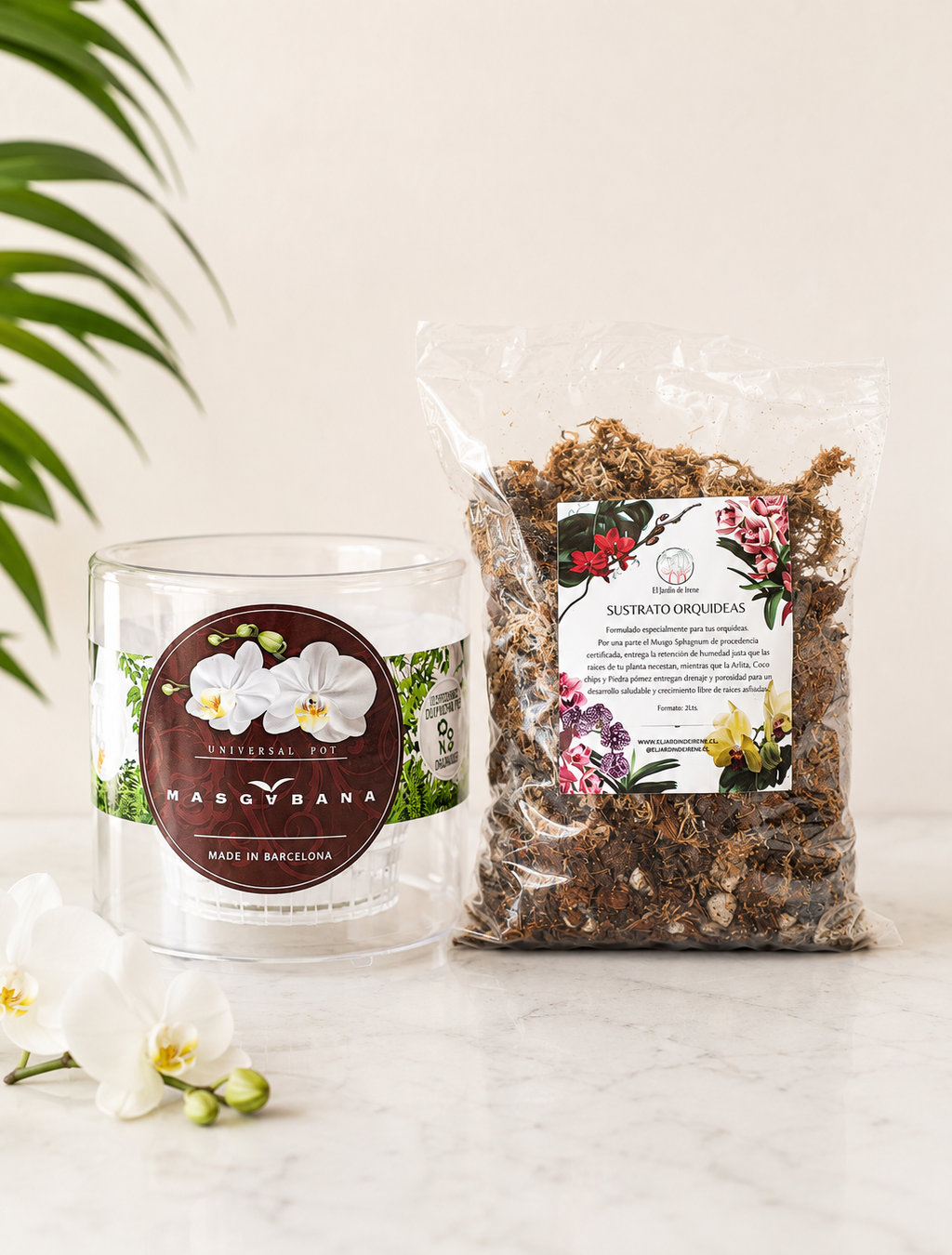 PROMO Maceta Masgabana M130 + Sustrato Orquídea
