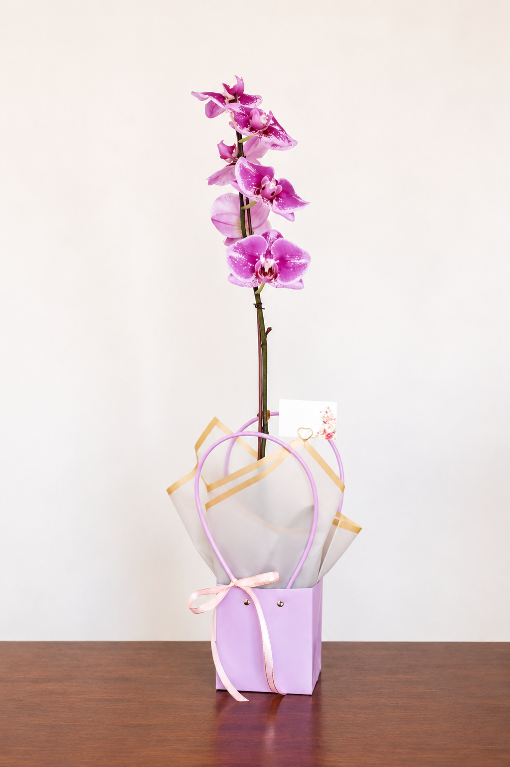 Arreglo Orquídea 'Violetta'