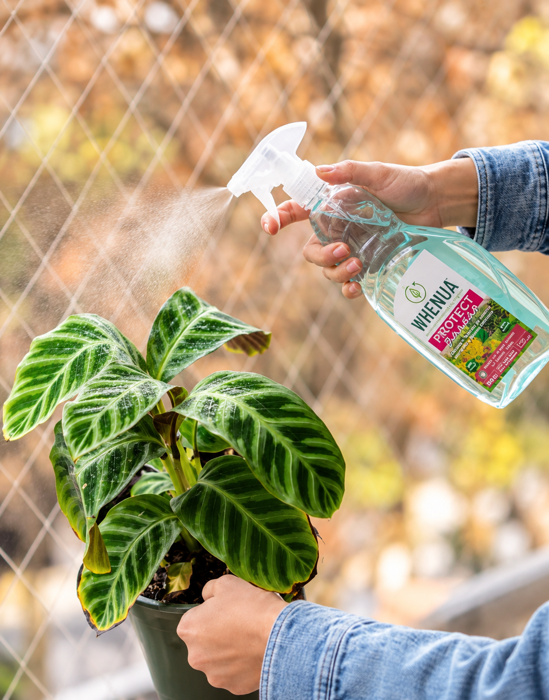 Fungicida Orgánico 'Prodetect' (para hongos en plantas)