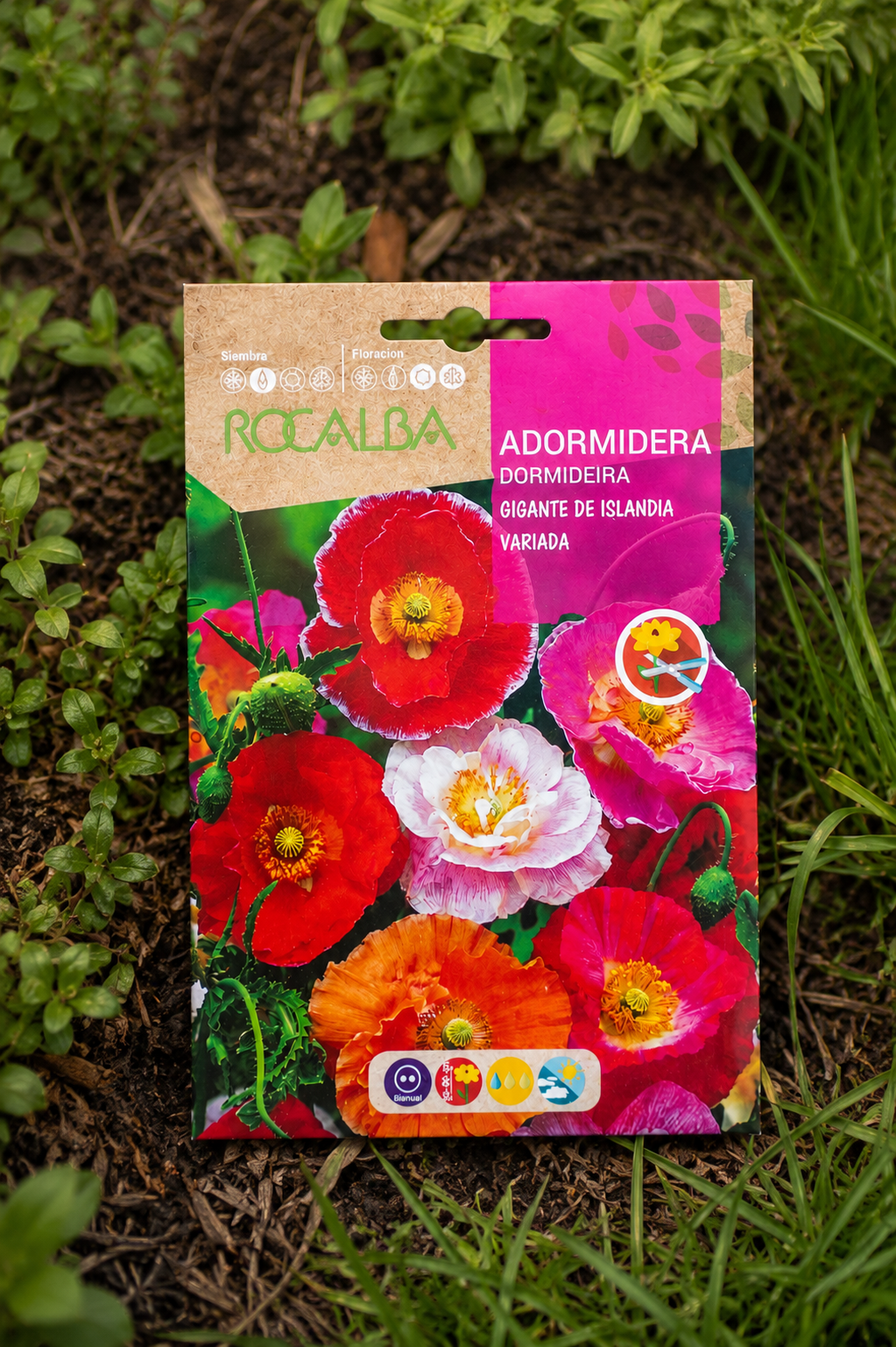 Semillas de Amapola 'Adormidera Gigante de Islandia' Rocalba
