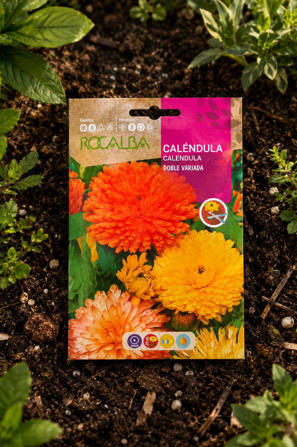 Semillas de Caléndula 'Doble' Rocalba