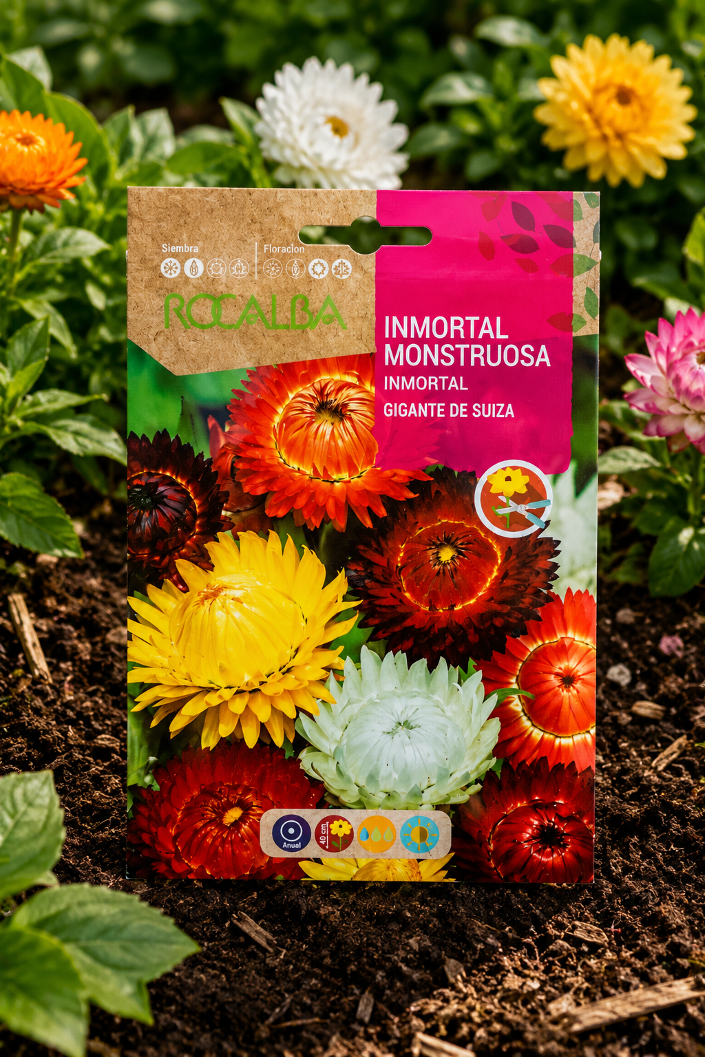 Semillas de Siempreviva 'Inmortal Monstruosa' Rocalba