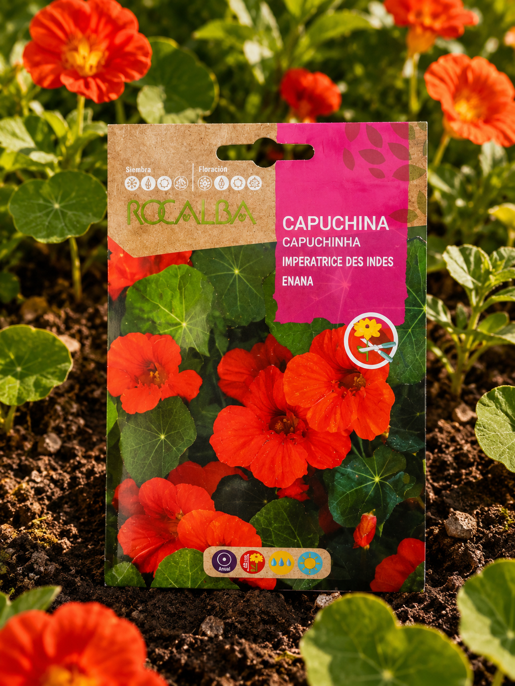 Semillas de Capuchina 'Emperatriz' Rocalba