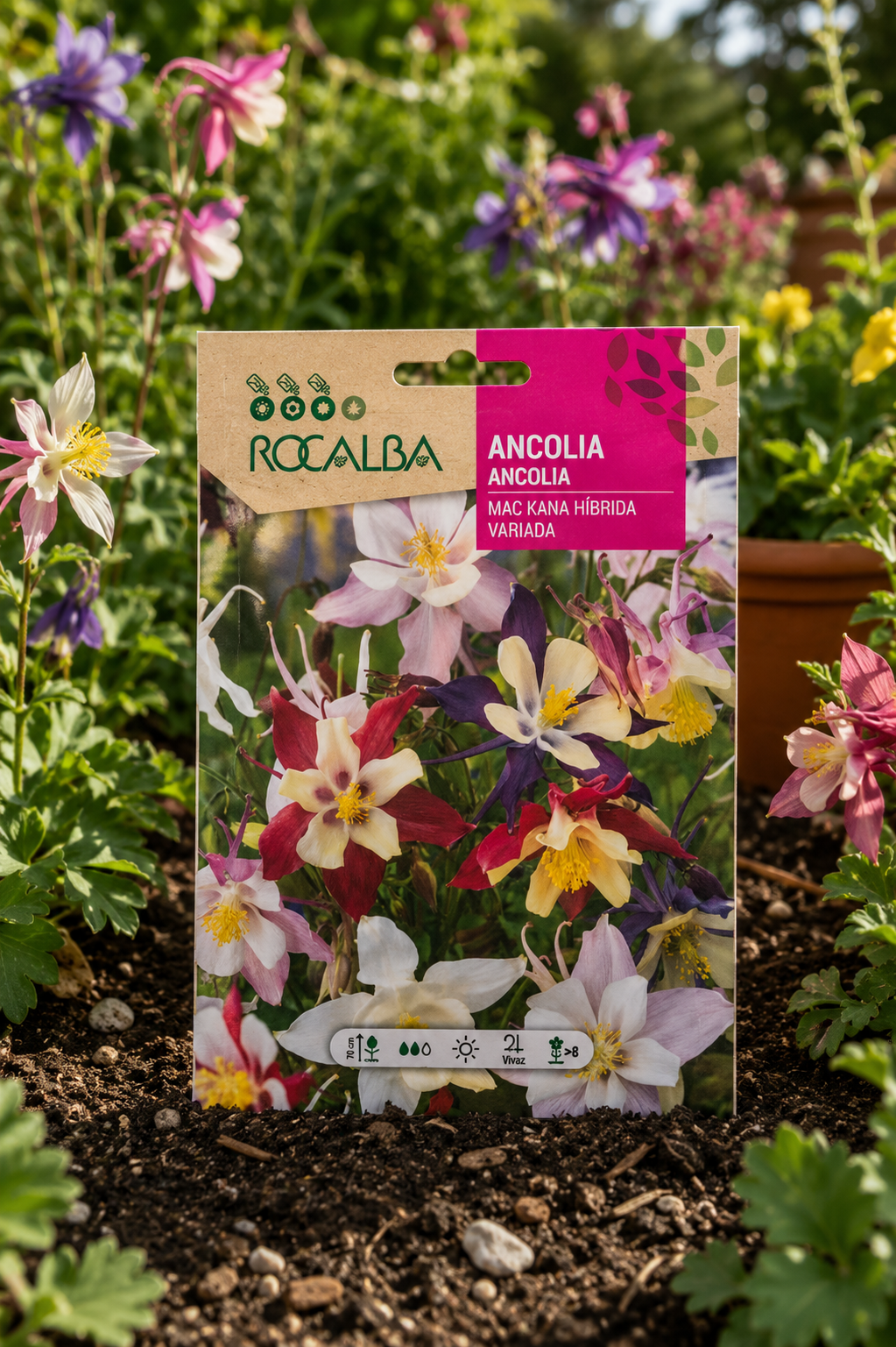 Semillas de Aquilegia 'Ancolia Mac Kana' Rocalba