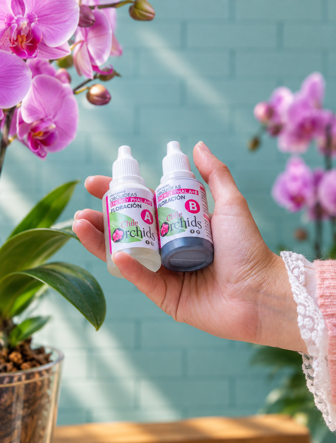 Fertilizante para Orquídeas A+B