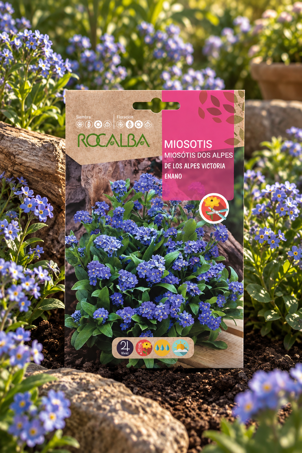 Semillas de Myosotis 'No me olvides' Azul - Rocalba