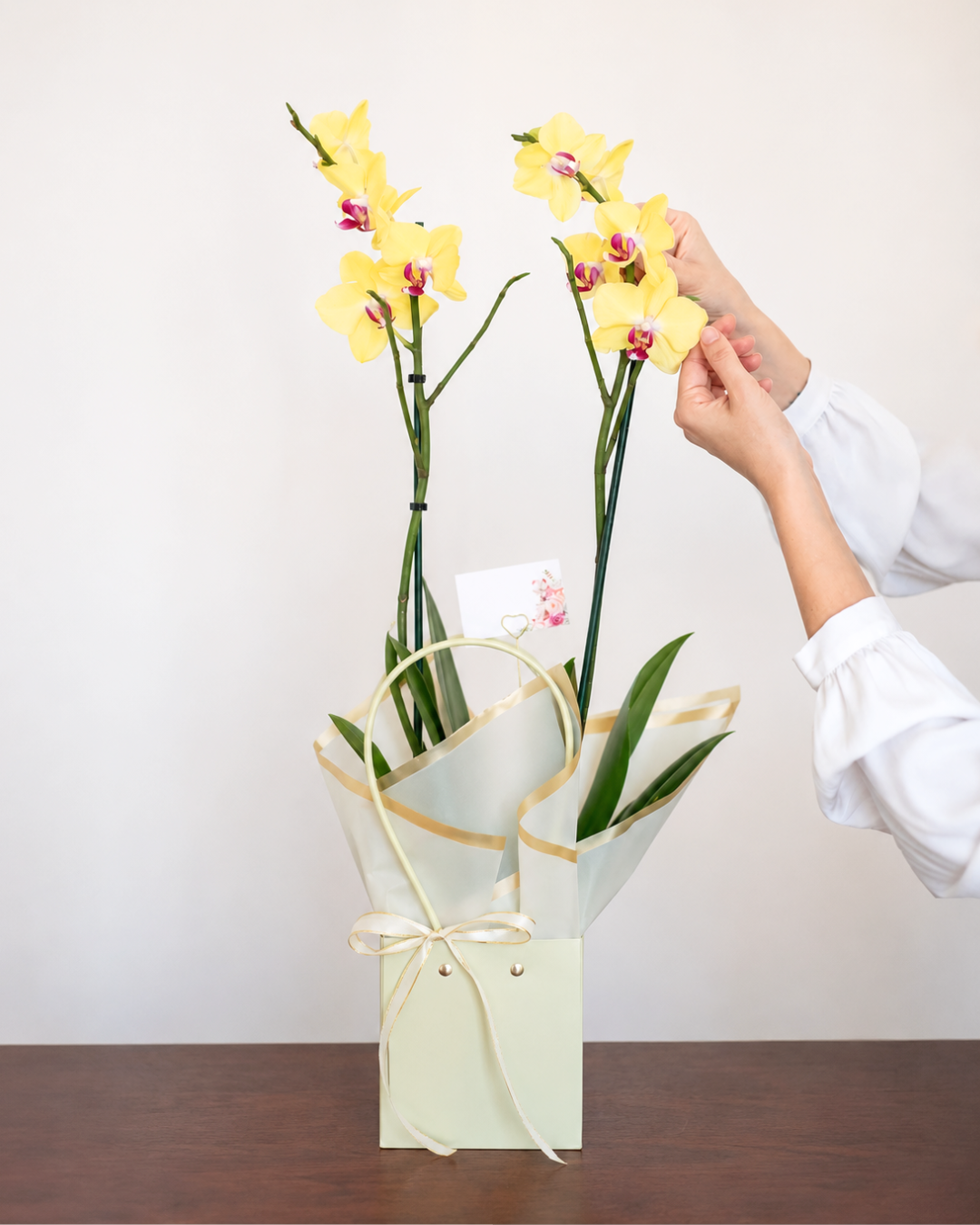 Arreglo Orquídea 'Naturezza'