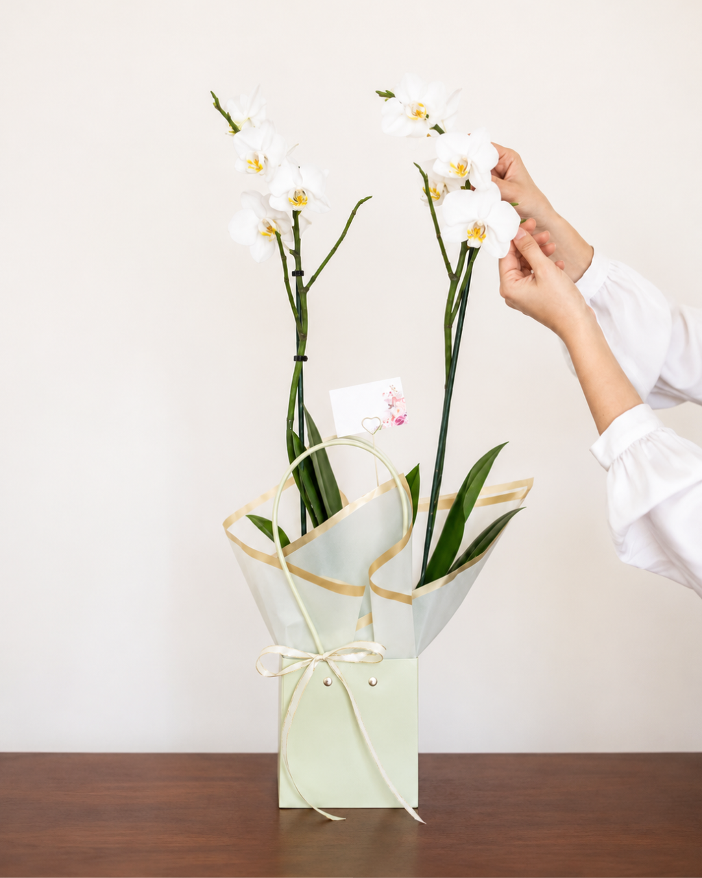 Arreglo Orquídea 'Naturezza'