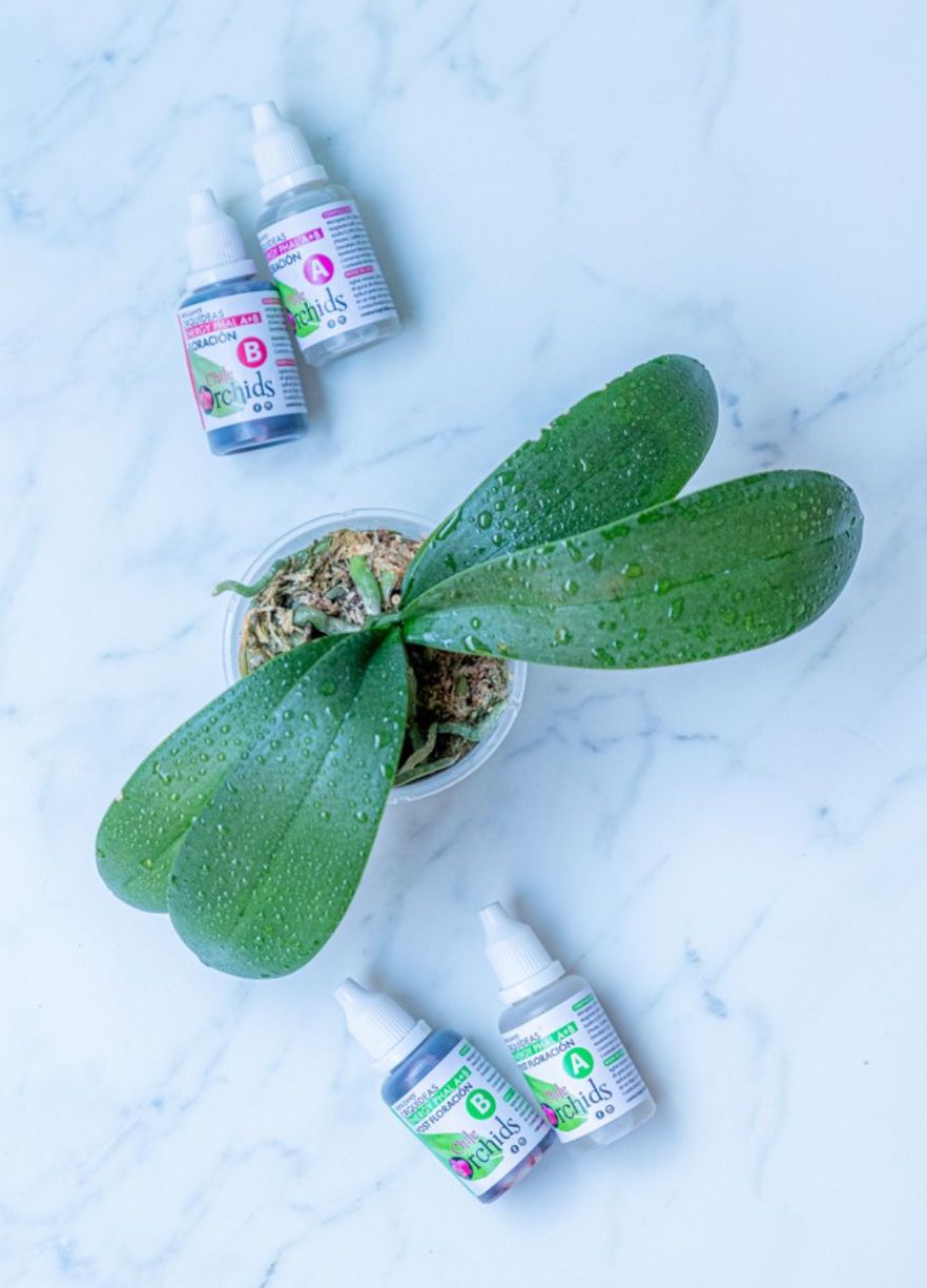 Fertilizante Orquídeas A+B