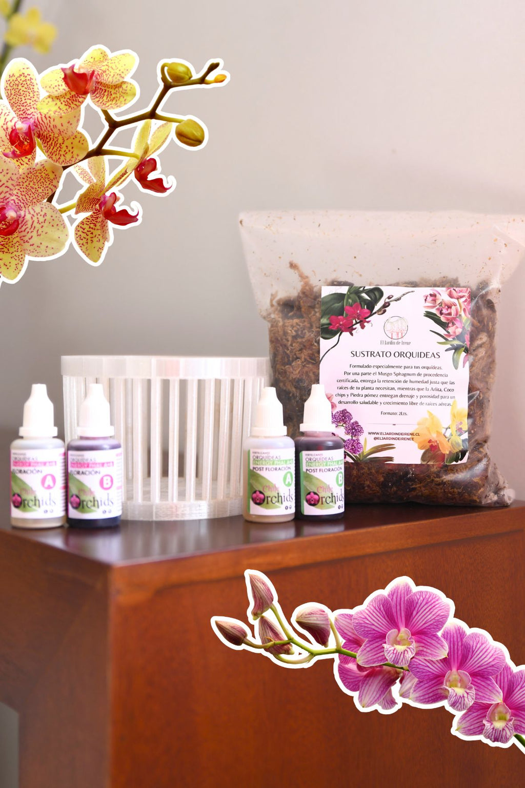 PACK Trasplante Orquídea S.O.S