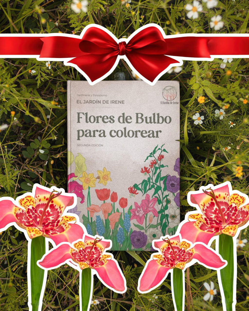 Libro "FLORES DE BULBO" + Bulbos de regalo