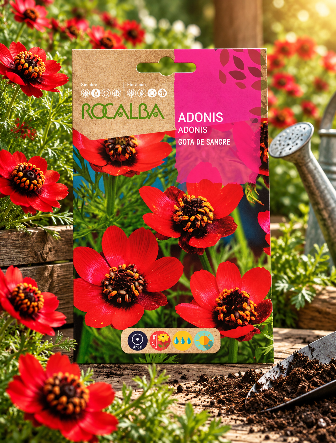 Semillas de Adonis (Gota de sangre) Rocalba