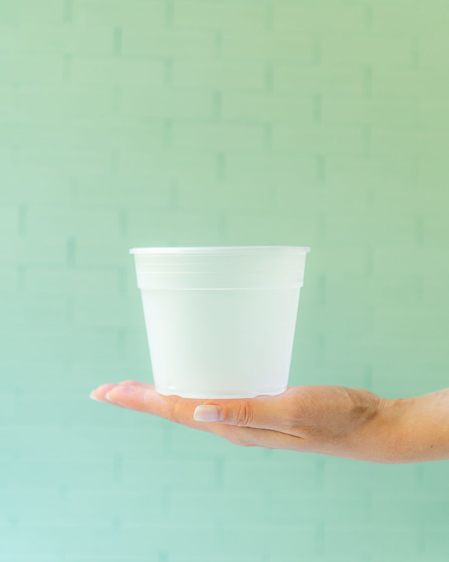 Maceta Simple Mini Orquídeas 10 cm diámetro